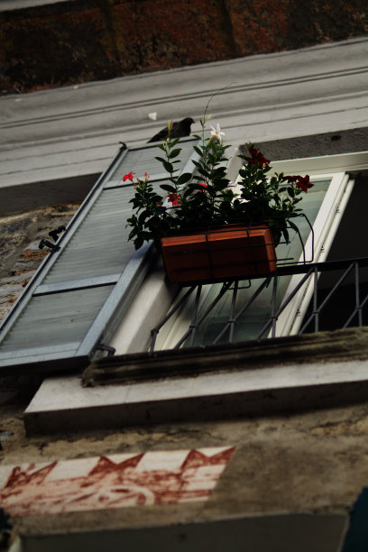 科莫市彩色和古老宫殿的细节图片下载