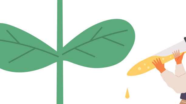 用植物样本进行实验的生物学家图片下载