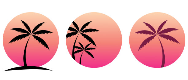 夕阳背景上的棕榈树图片下载