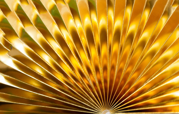 摘自:金扇Baldes-Myrtle Beach，南卡罗来纳图片下载