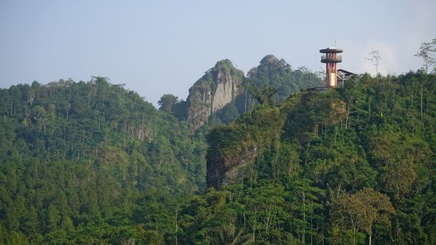 山上长满了树木，茂密的森林上建有一座塔图片下载