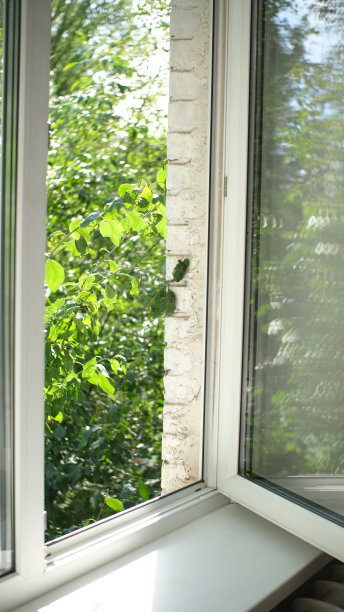 从窗口望出去，看到绿树。图片下载