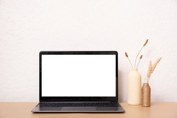 笔记本电脑，黑屏，干草花和花瓶。美学影响波西米亚风格的室内设计模板与样机笔记本电脑，复制空间图片下载