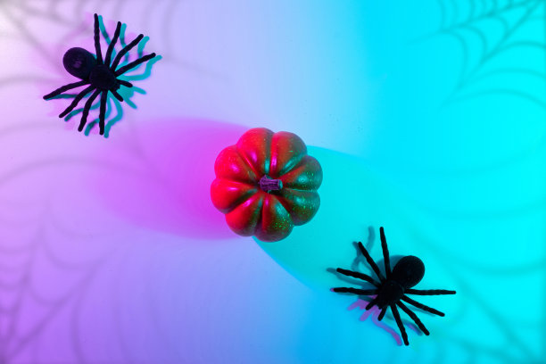 万圣节装饰。可怕的幽灵南瓜，黑色的夜蜘蛛夜霓虹灯的万圣节背景。秋季假期的简约背景。空间的文本。图片下载