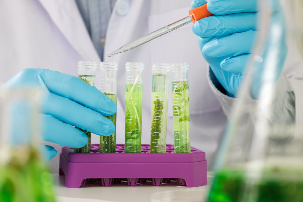 藻类燃料、生物燃料、可持续生化实验室的光生物反应器图片下载