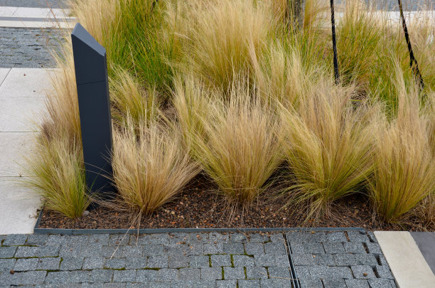 草的干叶在风中飘动，看起来像头发。花坛在马路上减速颠簸。覆盖碎石。现代灰色立面与条纹草原花床在秋天图片下载