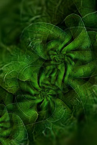 黑色背景上明亮的绿色叶脉图案图片下载