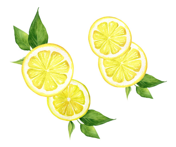 水彩柠檬热带水果排列图片下载