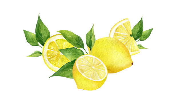 水彩柠檬热带水果排列图片下载