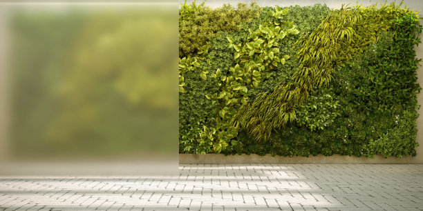 垂直墙花园室内设计，3d渲染图片下载