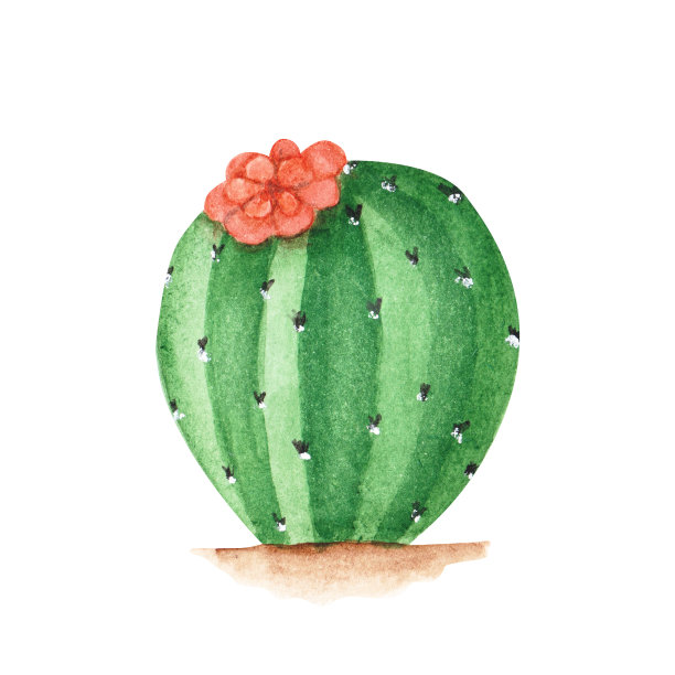 水彩仙人掌与花solated在白色的背景。手绘多汁的插图。墨西哥绿色植物。可爱的热带对象。嘉年华装饰艺术。图片下载