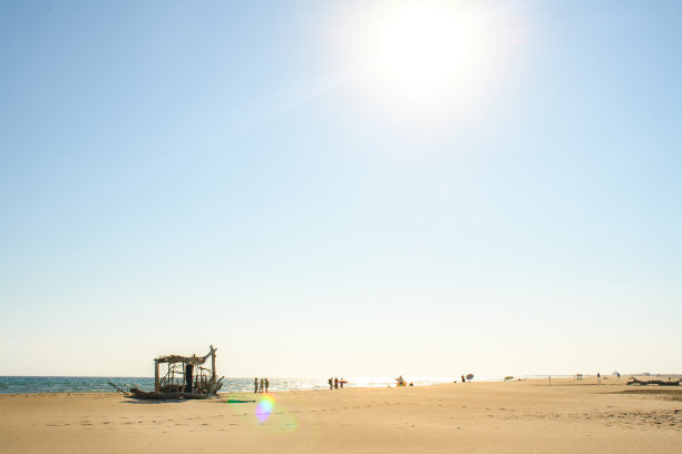 海滩上的浮木结构和剪影图片下载