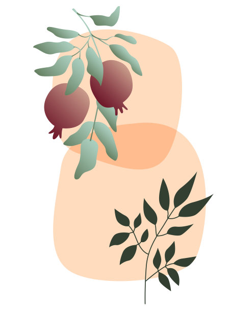 彩虹和果树分枝极简梯度纹理波西米亚插图模板图片下载