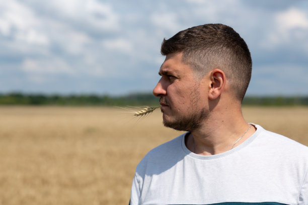 农夫在麦田里种黑麦图片下载