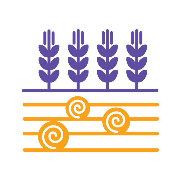 小麦、大麦或黑麦的穗子，在田野上呈圆形图片下载