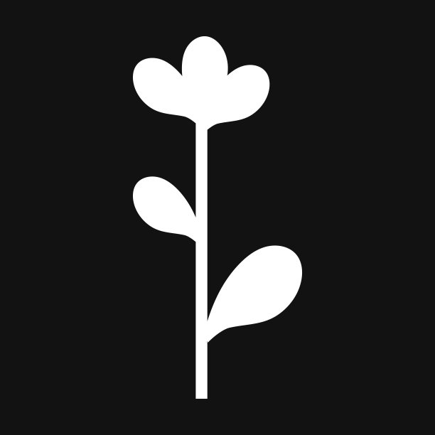 白色的花和叶子在黑色的背景图片下载