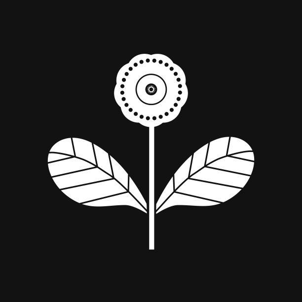 白色的花和叶子在黑色的背景图片下载