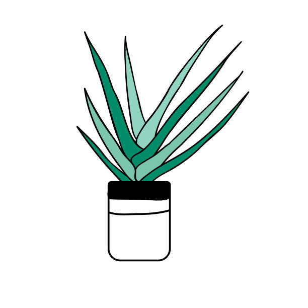 盆栽室内植物。用于家庭和办公室的装饰性绿色植物，隔离在白色背景上。彩色平面矢量插图。图片下载