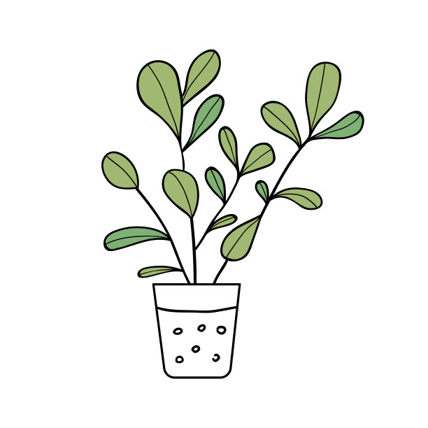 盆栽室内植物。用于家庭和办公室的装饰性绿色植物，隔离在白色背景上。彩色平面矢量插图。图片下载