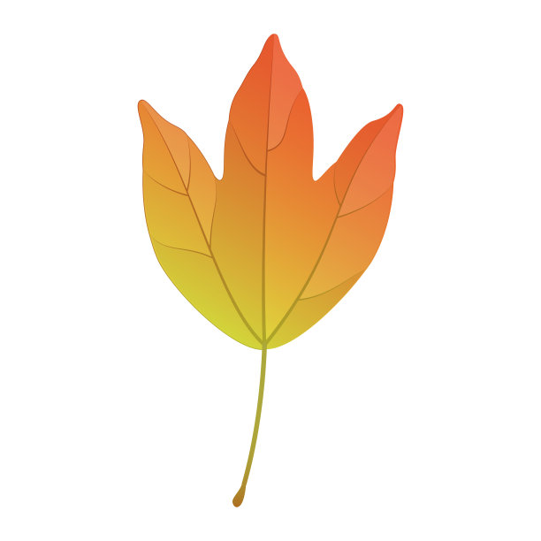 在背景上孤立的秋天三叉戟枫叶矢量插图。图片下载