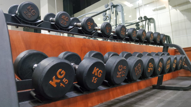 办公室健身房里一排排不同重量的哑铃整齐地排列在一起。图片下载