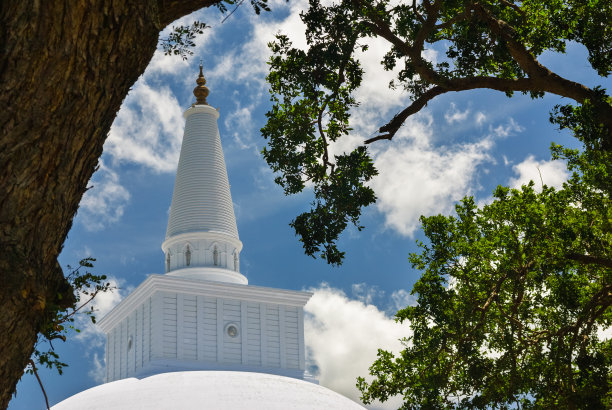 Ruwanwelisaya玛哈佛塔，透过树木看到的佛教纪念碑，Anuradhapura，斯里兰卡图片下载