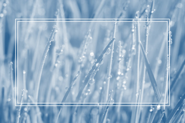 湿草与闪亮水滴构成的自然背景，双衬框架作为复制空间，时尚色彩2020经典蓝色。文本框图片下载