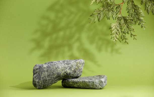 石墩上有松树。树枝、影子、石头、绿色背景。显示在美容。图片下载