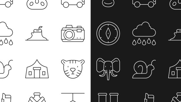 设线蜘蛛虎头相机图片下载