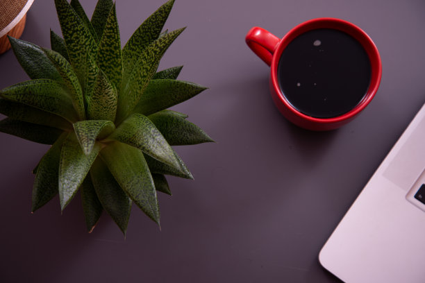 桌子上的物品。用笔记本和笔记本学习和工作。图片下载