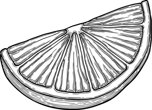 柑橘片图标轮廓手绘图片下载