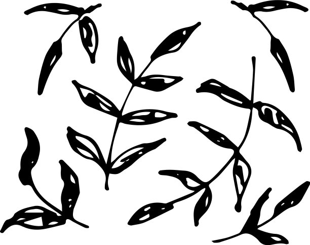 枝叶手绘花图片下载