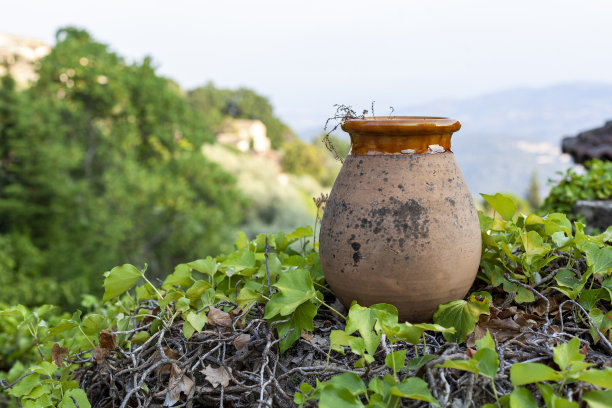花园里的大陶瓷装饰罐图片下载