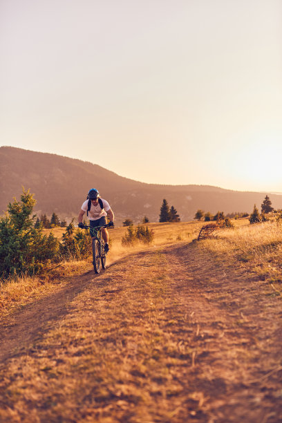一个骑自行车的人在日落时分的森林道路上骑自行车图片下载