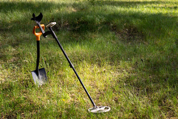 无线金属探测器安装在照片左侧一个缩短的金属刀片上。图片下载