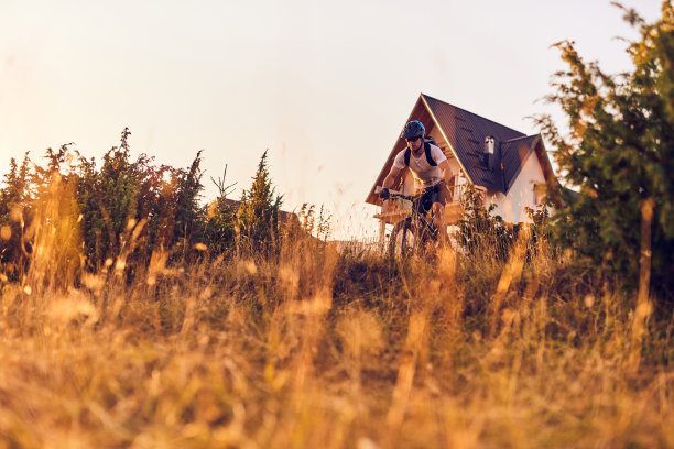 一个骑自行车的人在日落时分的森林道路上骑自行车图片下载