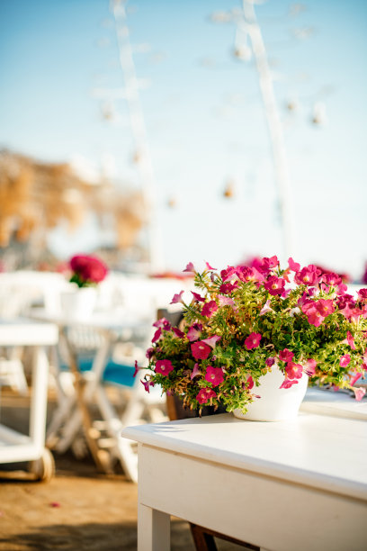 海边的鲜花餐桌图片下载