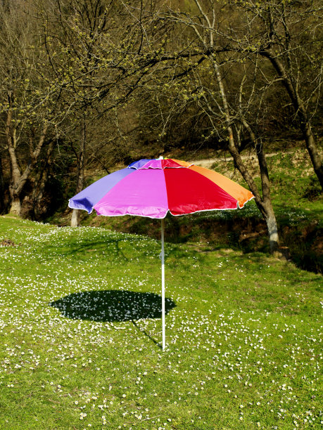 花园里五颜六色的阳伞图片下载