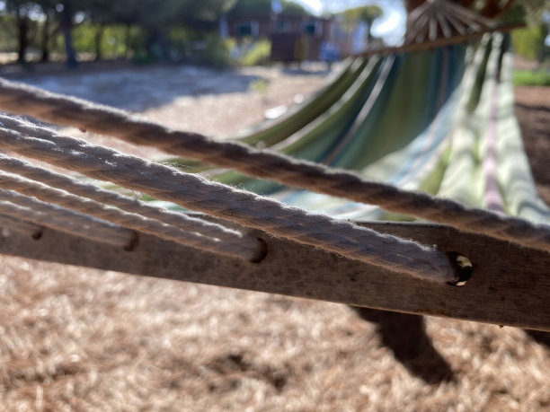 绑在树上用来吊床的绳索。休息时间。享受自然和宁静图片下载