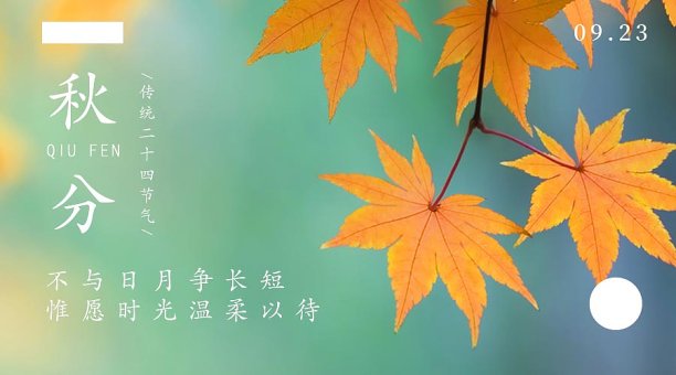 秋分24节气枫叶图文风秋天海报图片下载