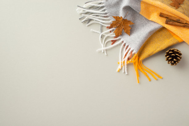 秋天的美学理念。顶视图照片格子围巾肉桂棒黄色枫叶和松果孤立的灰色背景与空白图片下载