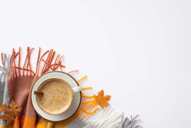 秋天情绪的概念。顶视图照片杯热饮肉桂棒黄色枫叶和格子围巾在孤立的白色背景与空白图片下载