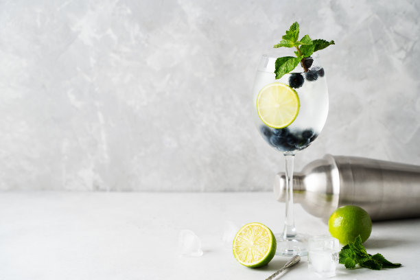 酒精鸡尾酒配上青柠，蓝莓，冰块和薄荷在深色背景上，图片下载