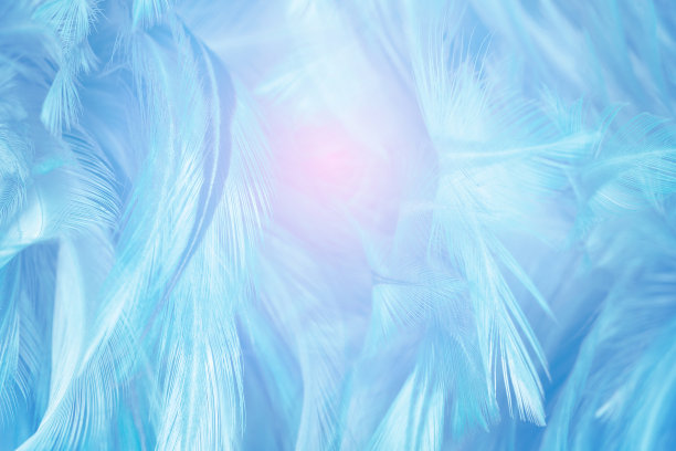 蓝色羽毛纹理图案背景与照明图片下载