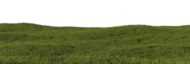 白色背景上的草地。图片下载