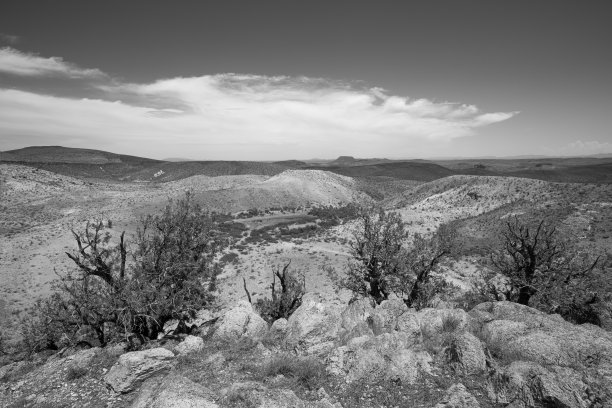 黑与白，活生生的沙漠图片下载