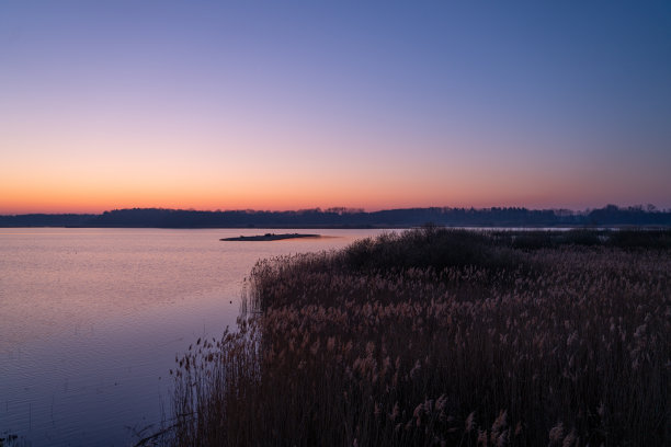 在鸟类保护区的湖边看日出图片下载