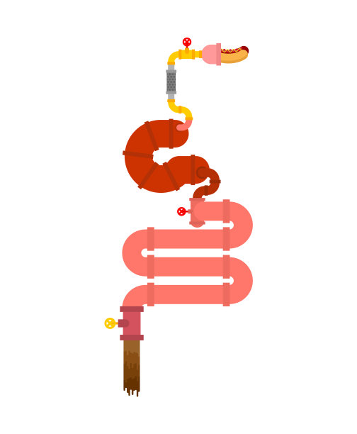 金属胃肠机器人内部图片下载