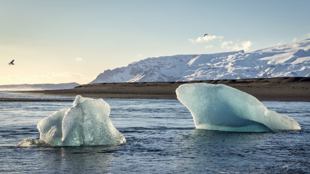 钻石海滩闪耀的冰山Jokulsarlon冰岛冬季的黑色海滩图片下载