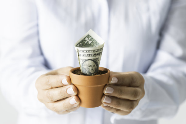 金钱树图片下载